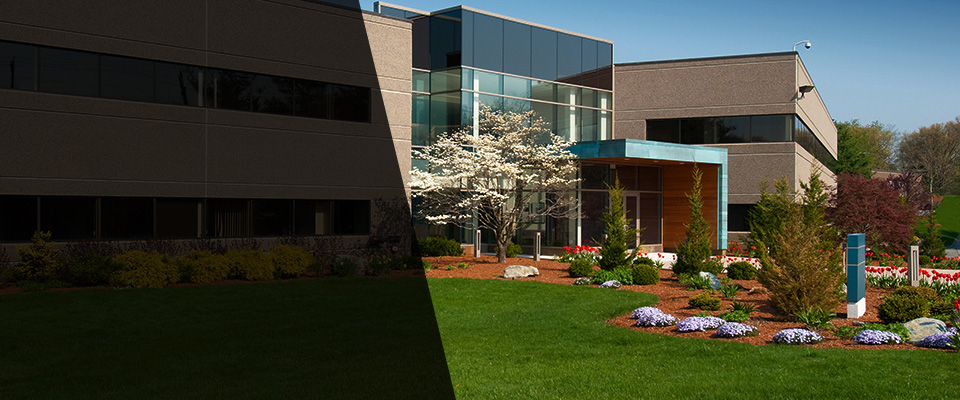 Newton Highlands Landscapers