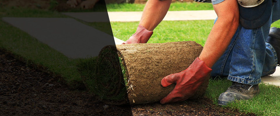 Newton Highlands Landscapers